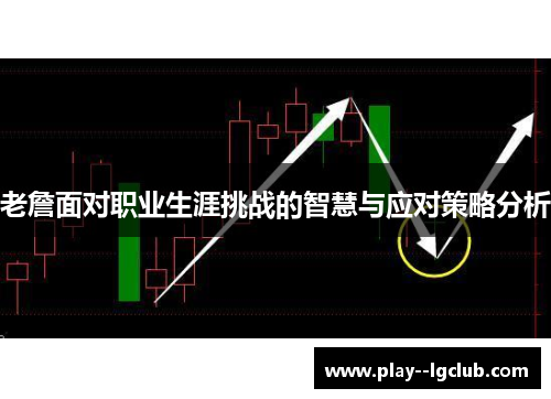 老詹面对职业生涯挑战的智慧与应对策略分析