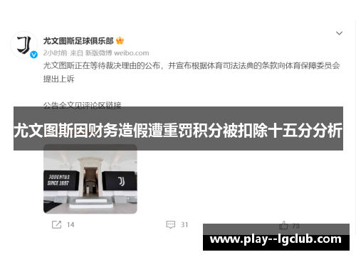 尤文图斯因财务造假遭重罚积分被扣除十五分分析 尤文图斯因财务造假遭重罚积分被扣除十五分分析
